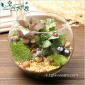 Woondecoratie Glazen terrarium met voet